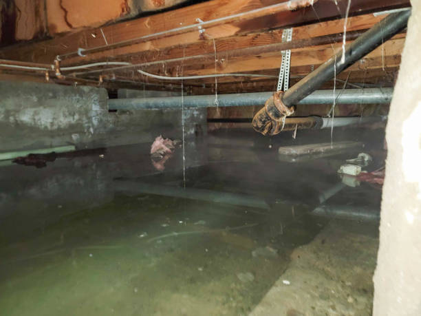 Best Ceiling water damage repair  in Oroville, CA