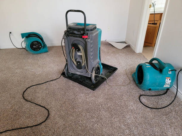 Best Water damage restoration experts  in Oroville, CA
