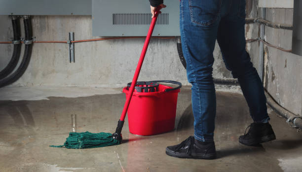 Best 24-hour water damage restoration  in Oroville, CA